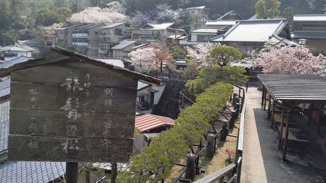 龍髯の松 - Image 1