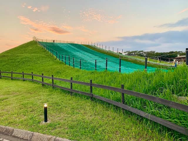 Grass Sledding Slope - Image 2
