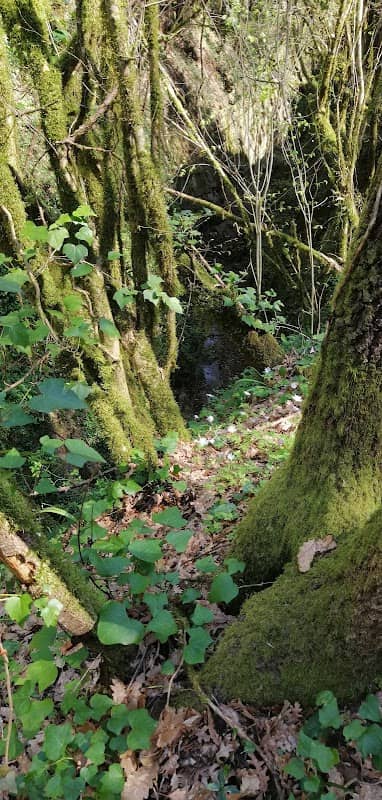 Parco Di Sant'Andrea - Image 1
