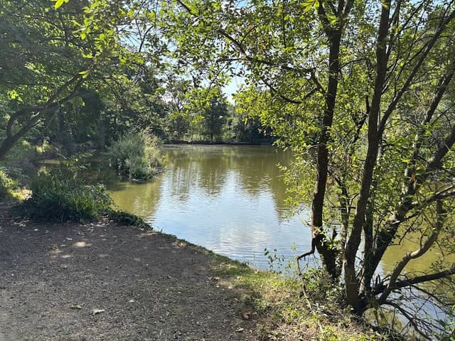 Duck Bridge Hiltingbury Lakes - Image 1