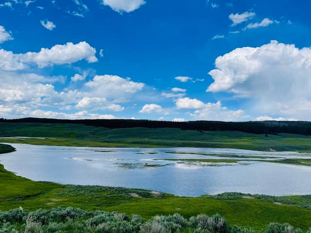 Hayden Valley Overlook at Yellowstone River - Image 1