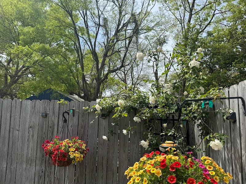 Roosevelt Gardens - Image 2