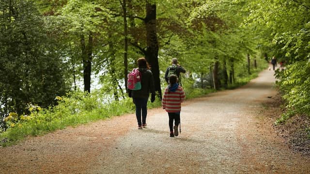 Ingleborough Estate Nature Trail - Image 1
