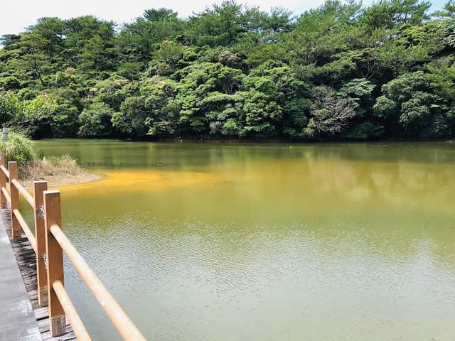 辺土名湖 - Image 2