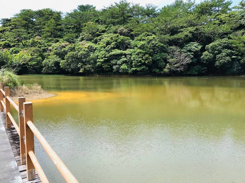 辺土名湖 - Image 2