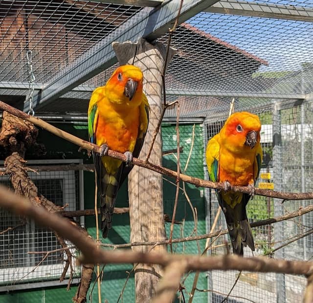 Vogelpark Ambigua - Image 1