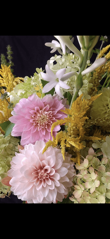 Providence Flower Farm and Cabin Rental - Image 1