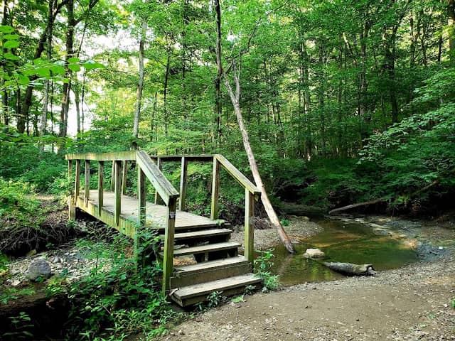 Spring Valley Nature Preserve - Image 2