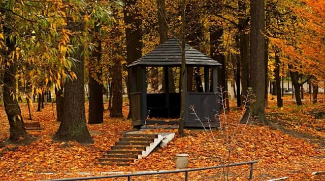 City recreation park of Miklouho-Maclay - Image 2