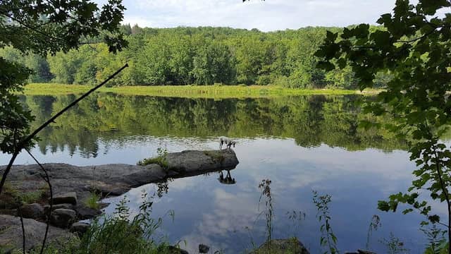French Falls Recreation Area - Image 1