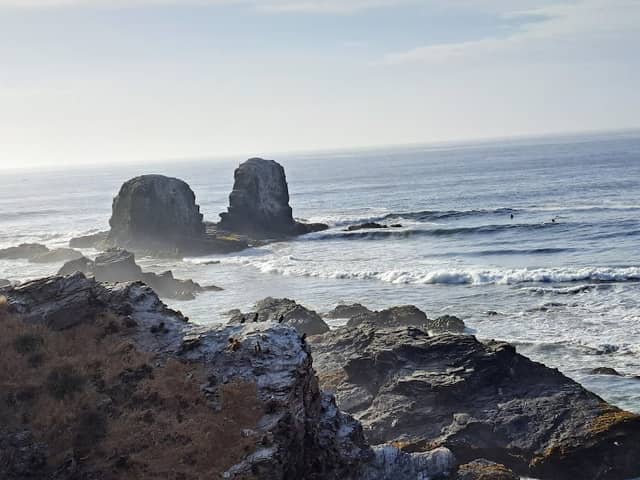 Buda de Punta de Lobos - Image 3