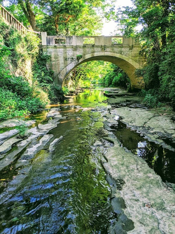 Toshoji Bridge - Image 1