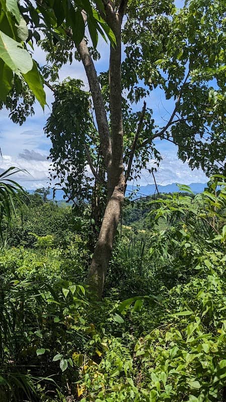 Tazia view point - Image 2