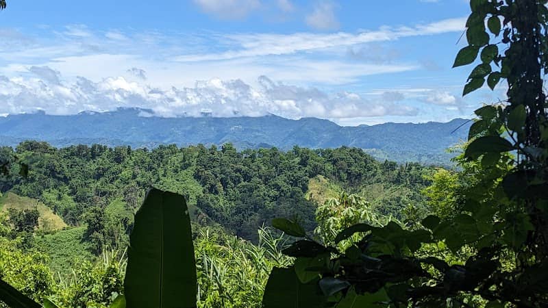 Tazia view point - Image 3