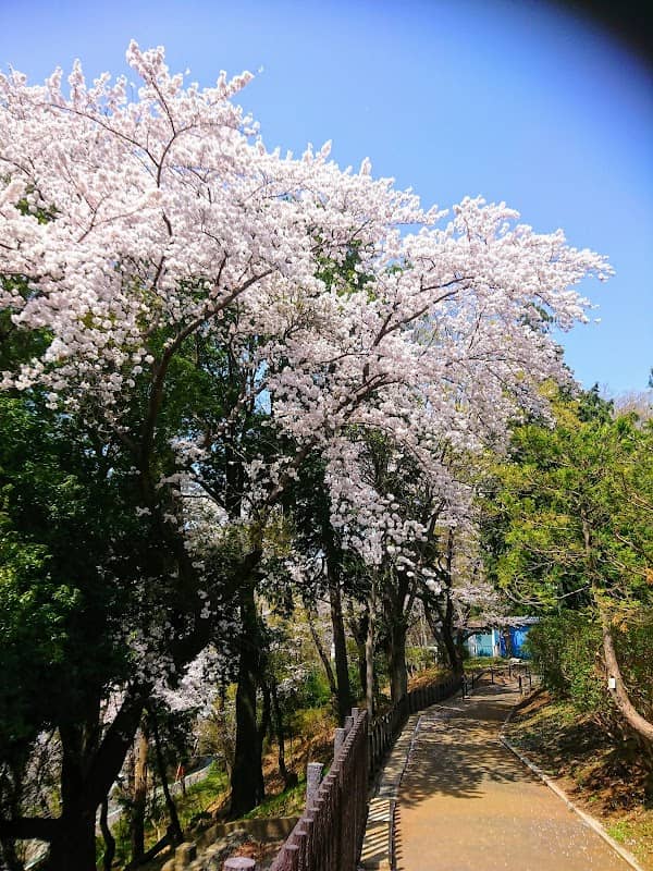 Zama Park - Image 1