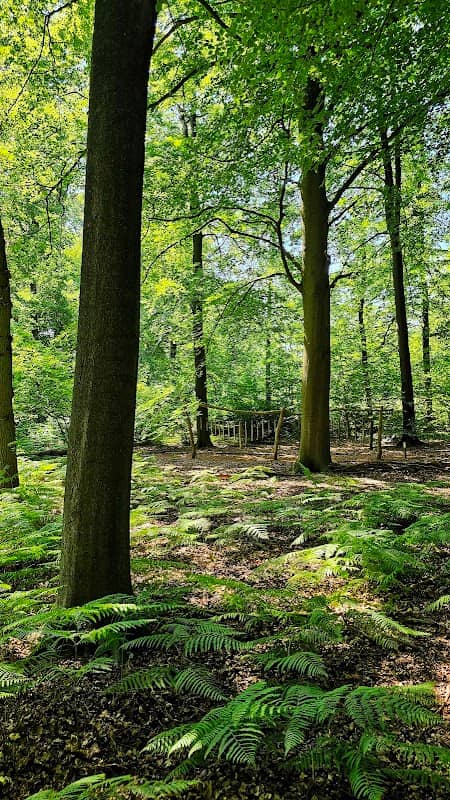 Arboretum Oostereng - Image 1