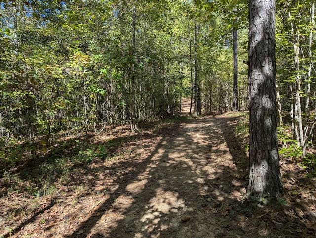 Brown’s Mill Trails Trail Head - Image 2