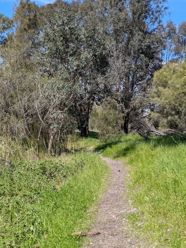 Yellagonga Regional Park Trail, 126 Scenic Dr, Wanneroo WA 6065 - Image 2