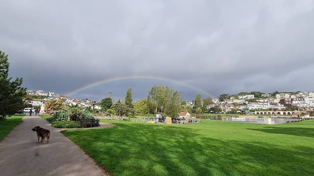 Young's Park - Image 1