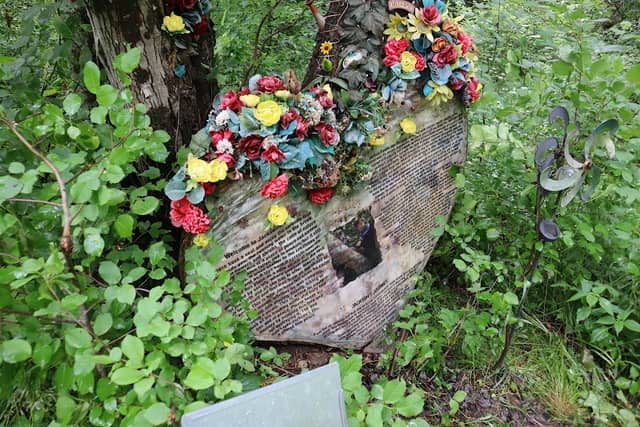 Jackson's Tree - Image 2