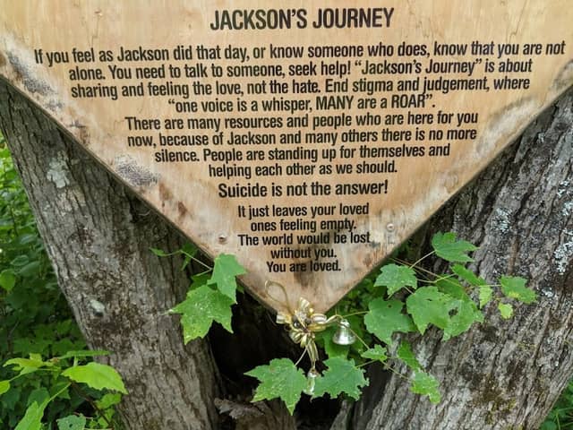 Jackson's Tree - Image 1