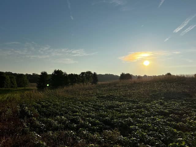 McLaw's Trail - Image 1