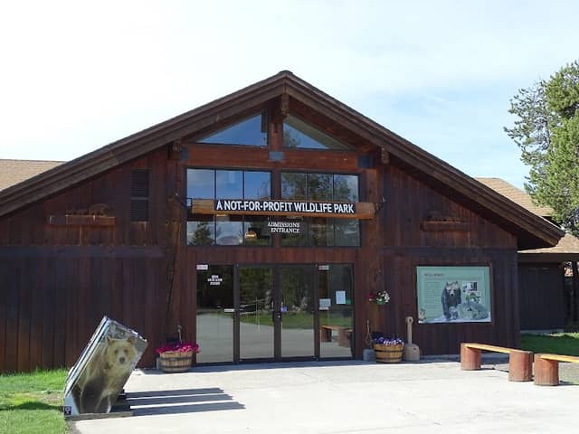 Grizzly & Wolf Discovery Center - Image 3