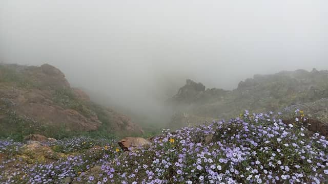 La Aguada - Image 1