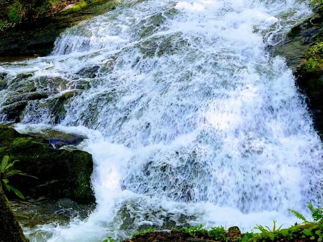 Chasteen Creek Cascade - Image 1