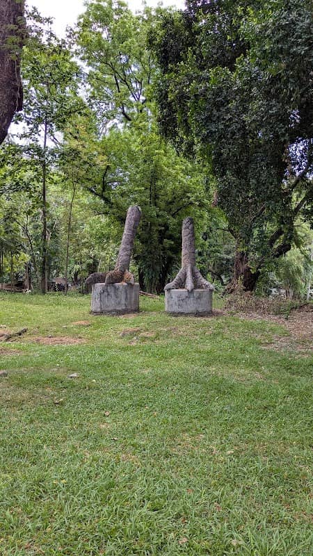 Chicken Feet Statue - Image 2
