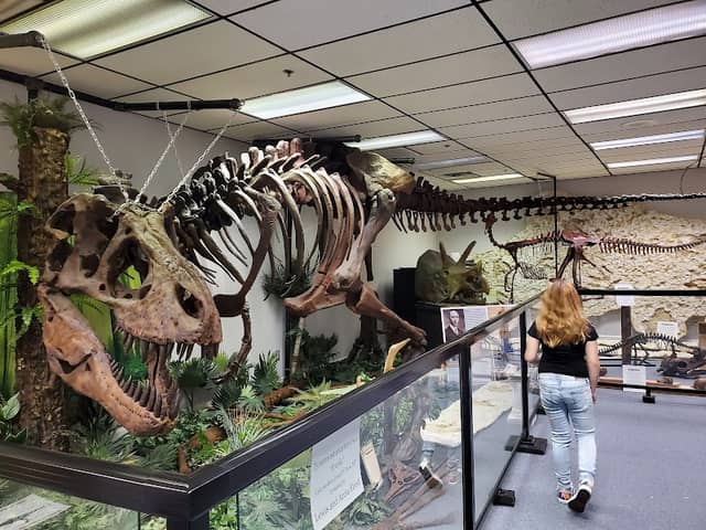 Earth Experience - Middle Tennessee Museum of Natural History - Image 1