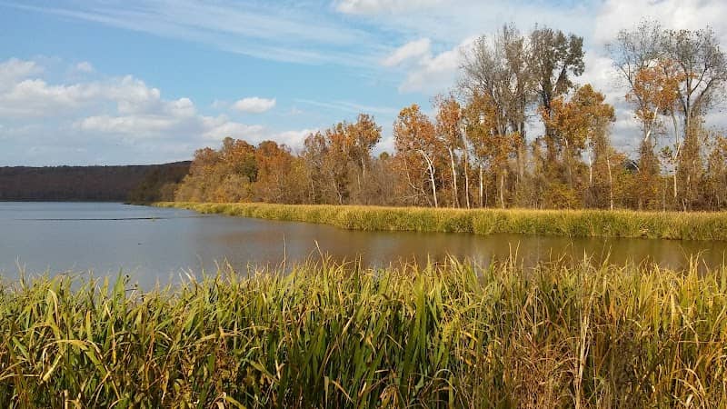 Sequoyah National Wildlife Refuge - Image 2