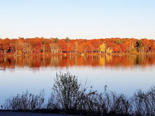 D.W. Field Park - Image 3