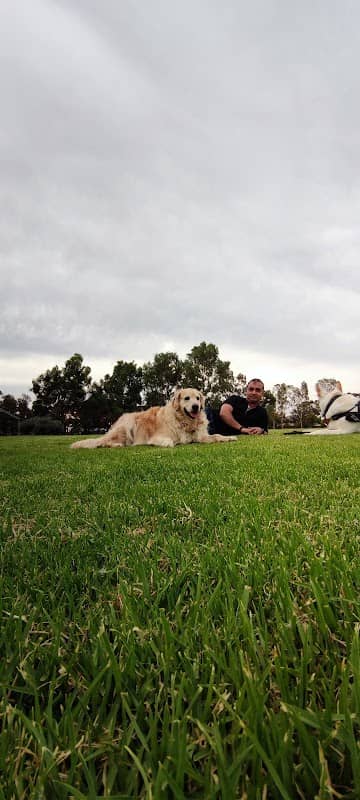 Frank Green Park - Image 1