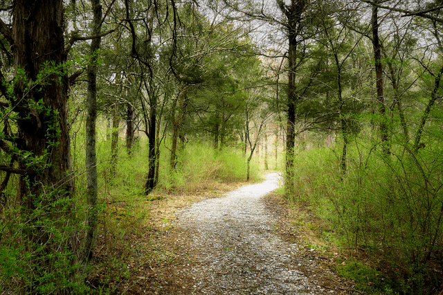 Dupree Nature Preserve - Image 2