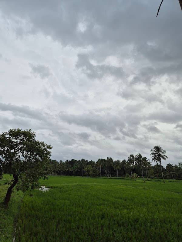 Kaduvetty view point - Image 1