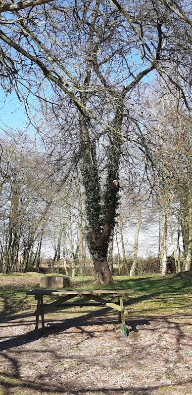 Arboretum des Hauts Vents - Image 2