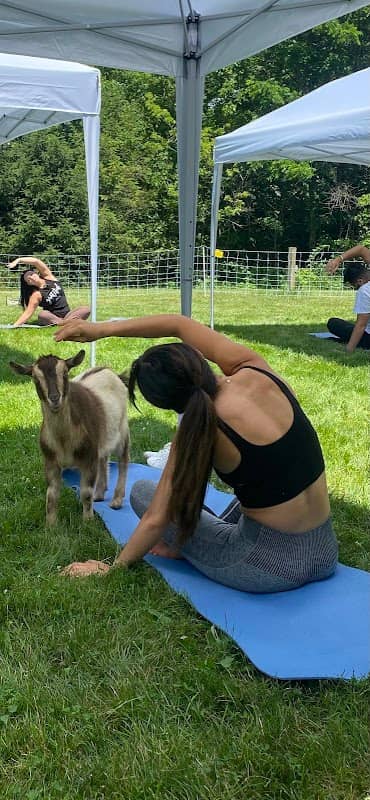 Let’s GOAT! - Image 1