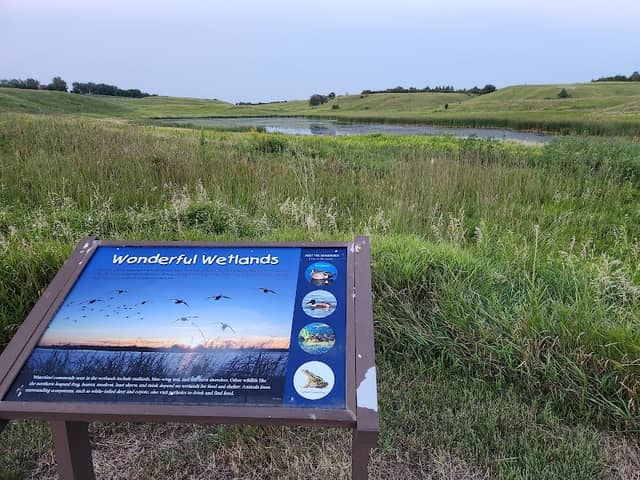 Wolf Lake - Image 2