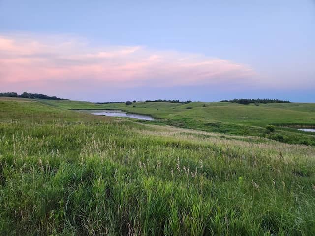 Wolf Lake - Image 1