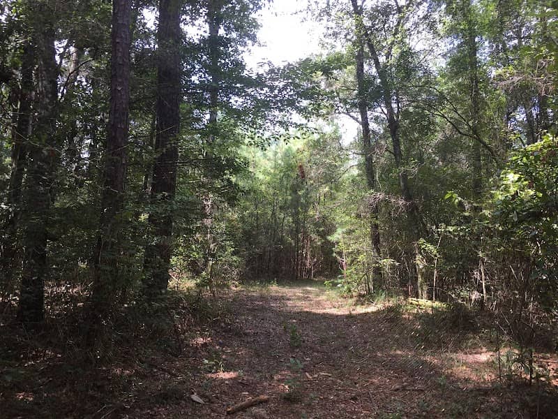 Black Creek Trailhead - Fairley Bridge Landing - Image 2