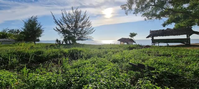 pasir panjang - Image 2
