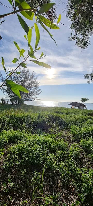 pasir panjang - Image 1