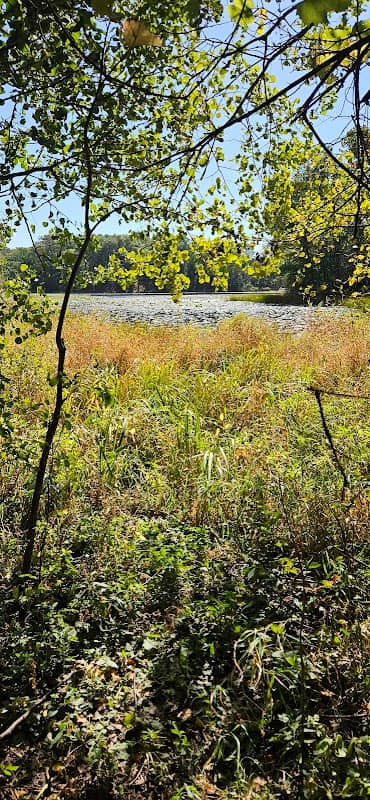 Raven Lake Conservation Area - Image 3