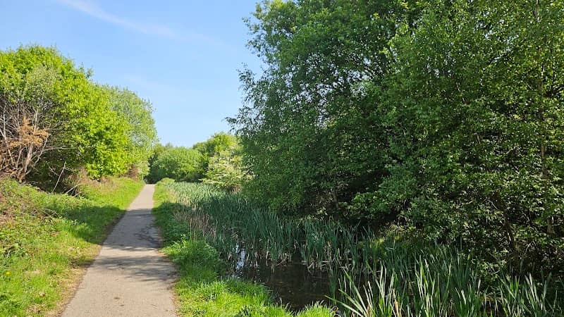 Tanfield View Pond - Image 1