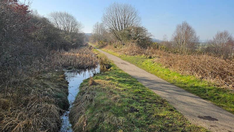 Tanfield View Pond - Image 2