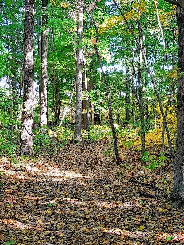 The Jack Miner Bird Sanctuary- Kennedy Wood Picnic Area and Trails - Image 2