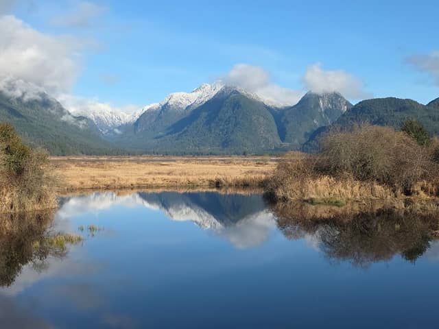 Pitt-Addington Marsh Wildlife Management Area - Image 1