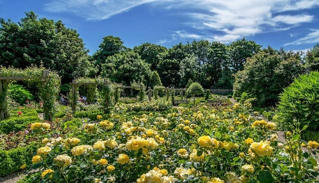 Sewerby Hall & Gardens - Image 1