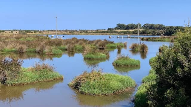 Fisher’s Wetland - Image 1